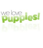 Watch We Love Puppies Gomovies