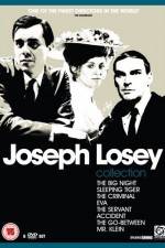 Watch The Big Night Gomovies