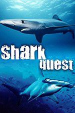 Watch Shark Quest Gomovies