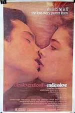 Watch Endless Love Gomovies