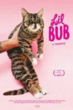 Watch Lil Bub & Friendz Gomovies