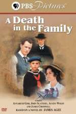 Watch A Death in the Family Gomovies
