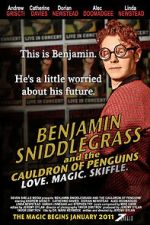 Watch Benjamin Sniddlegrass and the Cauldron of Penguins Gomovies