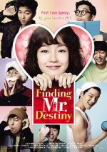 Watch Finding Mr. Destiny Gomovies