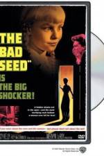 Watch The Bad Seed Gomovies