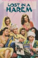 Watch Lost in a Harem Gomovies