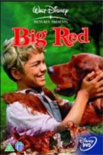 Watch Big Red Gomovies