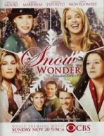 Watch Snow Wonder Gomovies