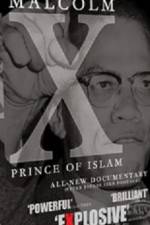 Watch Malcolm X Prince of Islam Gomovies