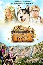 Watch Timber the Treasure Dog Gomovies