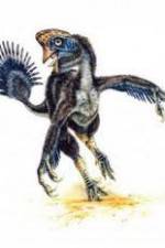 Watch National Geographic Wild : Evolutions Last Living Dinosaur Gomovies
