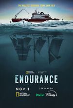 Watch Endurance Gomovies