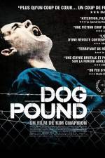 Watch Dog Pound Gomovies