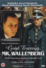 Watch Good Evening, Mr. Wallenberg Gomovies