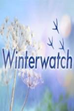 Watch Winterwatch Gomovies