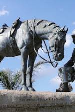 Watch War Horse: The Real Story Gomovies