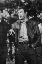 Watch The Devil's 8 Gomovies