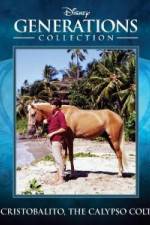 Watch Cristobalito the Calypso Colt Gomovies