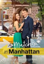 Watch A Match in Manhattan Gomovies