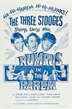 Watch Rumpus in the Harem Gomovies