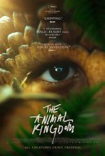 Watch The Animal Kingdom Gomovies