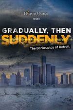 Watch Gradually, Then Suddenly: The Bankruptcy of Detroit Gomovies