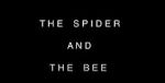 Watch The Spider and the Bee Gomovies