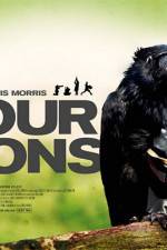 Watch Four Lions Gomovies