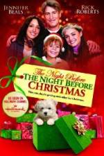 Watch Night Before The Night Before Christmas Gomovies