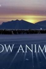 Watch Snow Animals Gomovies