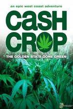 Watch Cash Crop Gomovies