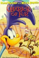 Watch Ready Woolen and Able Gomovies