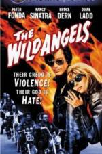 Watch The Wild Angels Gomovies