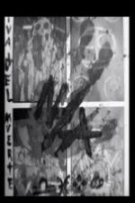 Watch Nazi Apocalypse Gomovies