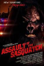Watch Sasquatch Assault Gomovies