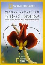 Watch Winged Seduction: Birds of Paradise Gomovies