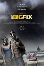 Watch The Big Fix Gomovies
