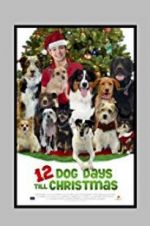 Watch 12 Dog Days Till Christmas Gomovies