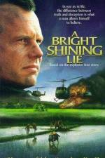 Watch A Bright Shining Lie Gomovies