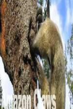 Watch National Geographic Wild Amazon Claws Gomovies