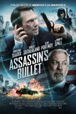 Watch Assassin's Bullet Gomovies