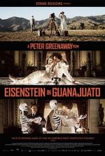 Watch Eisenstein in Guanajuato Gomovies