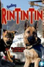 Watch Finding Rin Tin Tin Gomovies