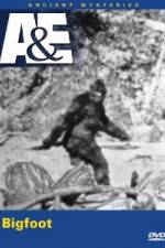 Watch A&E Ancient Mysteries - Bigfoot Gomovies