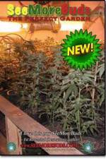 Watch SeeMoreBuds: Vol. 3 Gomovies