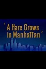 Watch A Hare Grows in Manhattan Gomovies
