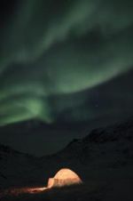 Watch The Last Igloo Gomovies