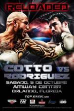 Watch Miguel Cotto vs Delvin Rodriguez Gomovies