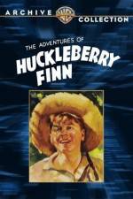 Watch Huckleberry Finn Gomovies