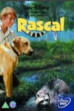 Watch Rascal Gomovies